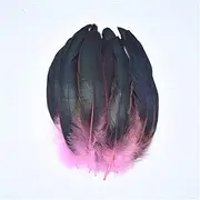 YY 50Pcs/Lot Colorful Rooster Feathers for Crafts Carnival Accessories Sewing Trimmings Plumes Pheasant Decoration Deco Artificial D118 (Color : Pink)