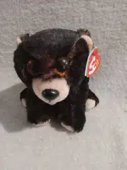 Ty Beanie Baby - KODI the Alaskan Kodiak Black Bear (6 Inch) NEW MWMTs Plush Toy