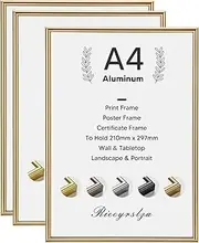 Rieeyrslza Aluminium Picture Frame Set of 3 Aluminum Document Frames 21 x 29.7 cm A4 Collage Frame Wall & Table Frame Poster Wall Picture Frame Suitable for Home School Gallery (Champagne)