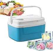 Ice Cooler Box - Ice Food Drinks Cooler Freezer | 8L Compact Insulated Box for Camping | Camping Picnic Insulated Food Container | Outdoor Picnic Portable Travel Car