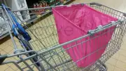 GREEN REUSABLE ECO SUPERMARKET SHOPPING TROLLEY CART CLIP ON GROCERIES CARRY BAG