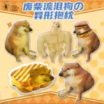 廢柴 肌肉柴 彩虹貓 YOUTOOZ 多款迷因抱枕 SWOLE DOGE CHEEMS DOGE NYAN CAT 抱枕