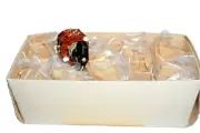 10x Rotary Switch + handle NIB 4 pole 5 positions 5p4t (5П4Н)