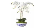 Rogue Artificial Phalaenopsis Orchid Pot Plant | White 46x46x66cm