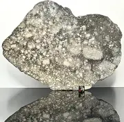 NWA 15923 (211g) Meteorite, Polished Slice Eucrite-melt breccia IMCA Sellers