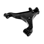 Aunger Control Arm Lower LH Nissan - ACA079L