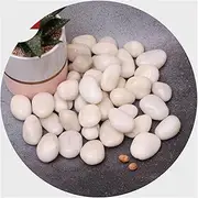Decorative Stones, 5.5 Lb Natural Polished White Pebbles, Outdoor Garden Wedding Home Aquarium Decorative Stone, Flower Pot Vase Fillers, Landscaping Pebbles (Color : White, Size : 0.78-1.57 in)