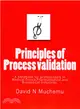 Principles of Process Validation ― A Handbook for Professionals in Medical Device, Pharmaceutical, and Biomedical Industries