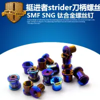 在飛比找露天拍賣優惠-現貨ST螺絲釘 Strider挺進者螺絲SMF/SNG鈦合金