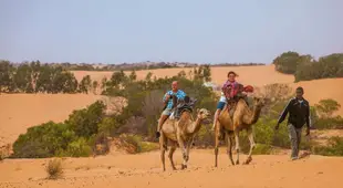 Camp Du Desert – Esprit d’Afrique