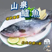 在飛比找蝦皮購物優惠-【鱻好美】宜蘭山泉鱸魚400-500g/尾(三去)
