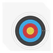 25Pcs Archery Target Paper 16"x16"(40cm) Standard 10 Ring Multicolor