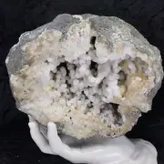 6-1/2” Large Geode Natural Botryoidal Drusy Snowball Quartz Crystal 7.10LB KY