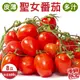 【旺城蔬果】台灣嚴選溫室聖女番茄（600g±10%/盒）8盒（出貨區間2023/12/13-2024/02/29）_廠商直送