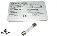 在飛比找蝦皮購物優惠-瑞士 SCHURTER 10A 250V (F快熔) FOR