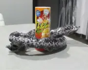 Hallowen Magic Snack Chips Can Flexible Spring Snake Trick Joke Gag Toy Kids C