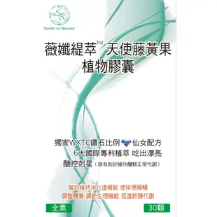 營養師優孅推薦 4入 薇孅緹萃天使藤黃果 植物膠囊 全素 血橙 藤黃果 膳食纖維 調整體質 促進新陳代謝 美食好幫手