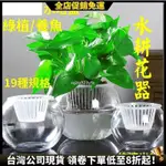 【全店促銷免運】 水耕瓶 水耕盆 水耕盆栽 熱銷水培花盆 水耕花器 創/意水培植物透明玻璃花瓶容器 綠蘿盆栽水養花盆 圓