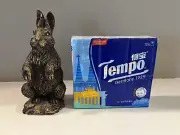 Tempo Tissues Pocket Size- European Prints, No Scents (Pack of 12)