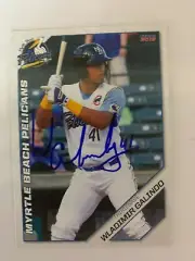 Wladimir Galindo 2019 Signed Myrtle Beach Pelicans Team Card