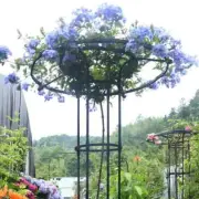 Metal Plant Climbing Frame Potted Plant Garden Trellis Metal Wire Stake Trellis