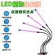 LED植物生長燈40W全光譜 USB定時循環