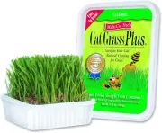 Indoor Cat Grass Growing Kit with Potting Mix, Seeds, and Container - 5.25 Oz