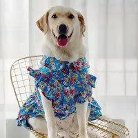 在飛比找蝦皮商城精選優惠-狗狗衣服 大型犬 夏季薄款裙子 金毛裙子 拉布拉多可愛裙子 