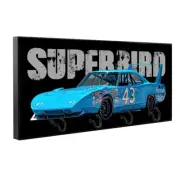 1970 Petty Blue #43 Superbird Race Car Wood Key Hanger Pet Leash Holder