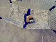 Ferret Hideaway Super Hammock - Lavender Floral 13" x 20"