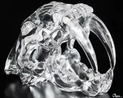 6.0" K9 Crystal Carved SphereSmilodon SABER-TOOTHED Tiger/Cat Skull, Realistic