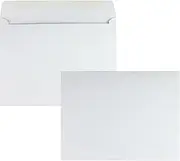 Quality Park Large Format/Catalog Envelopes, 10 x 13, White, Box of 100 (QUA37613)