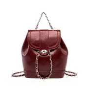 Chain Bag Large Capacity Retro One Shoulder Crossbody Bucket Bag Backpack