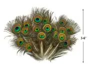 10 Pieces - Mini Natural Peacock Tail Body Feathers 3-6" Long Craft Wedding USA