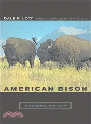 American Bison