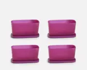Tupperware Basic Bright Mini Rectangular Containers Set of 4 Purple NEW