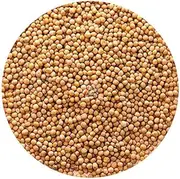 White/Yellow Mustard Seeds - 450 gm