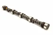 Lunati Power SBC Hydraulic Camshaft H245-255 10120916
