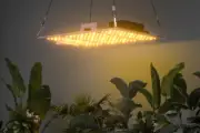 Plant Grow Light, Full Spectrum Dimmable Plant Light for Indoor Plants, Smart Te