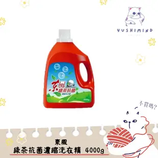 💕毛孩爸媽生活用品💕【東風】綠茶抗菌濃縮洗衣精 桶裝 4000g｜洗衣精 綠茶香 人用