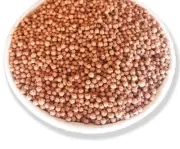 CONCAVE CONVEX CLAY BALLS DUOYUAN SOIL FOR BONSAI SUCCULENTS GROWING HYDROPONIC