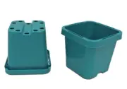63mm Square Squat Pot - Aqua Colour x 215pcs - Seedlings / Succulent / Cactus