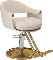 Lauft Salon Stool Swivel Chair Backrest Barber Hair Dresser Chair Hydraulic Lift Rotating Spa Seat Light Grey