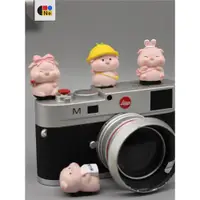 在飛比找ETMall東森購物網優惠-N+PARK 可愛豬豬 創意熱靴蓋 卡通相機單反微單可愛 配