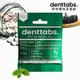 【丹特一錠淨Denttabs】牙膏錠-成人薄荷含氟(125顆/包)-環保牙膏