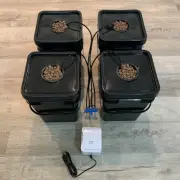 Deep Water Culture (DWC) Hydroponic Bubbler Buckets, 5 gallon, 4 Site