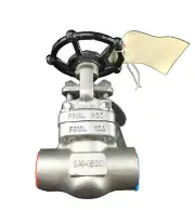 WARREN 1501-16-TS-624 Stainless Steel Gate Valve 3/4", CL 1500, 3000 PSI WP/WOG