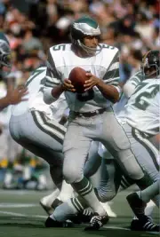 Quarterback Roman Gabriel Philadelphia Eagles drops back to pass - 1974 Photo 3