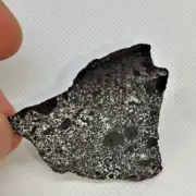 Vaca Muerta Meteorite Mesosiderite , slise . Weight 17.68 gr.