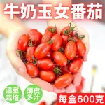 【綠之果物】玉女番茄 番茄 小番茄 600G 溫室小番茄  番茄 網室栽培 水果 黑貓冷藏宅配 滿額免運